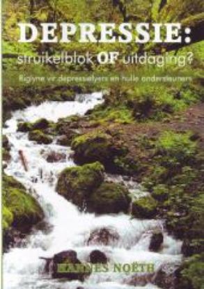 Picture of Depressie: Struikelblok of uitdaging? Riglyne vir depressielyers en hulle ondersteuners
