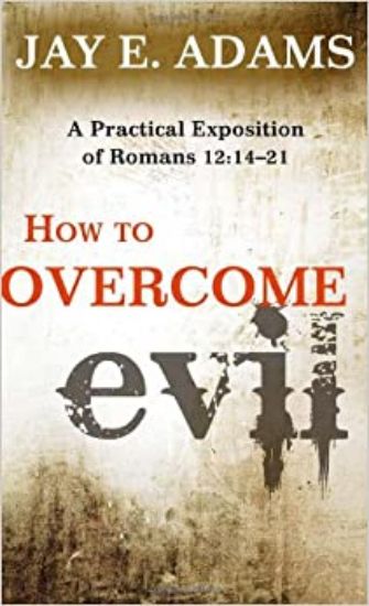 Picture of How to overcome evil