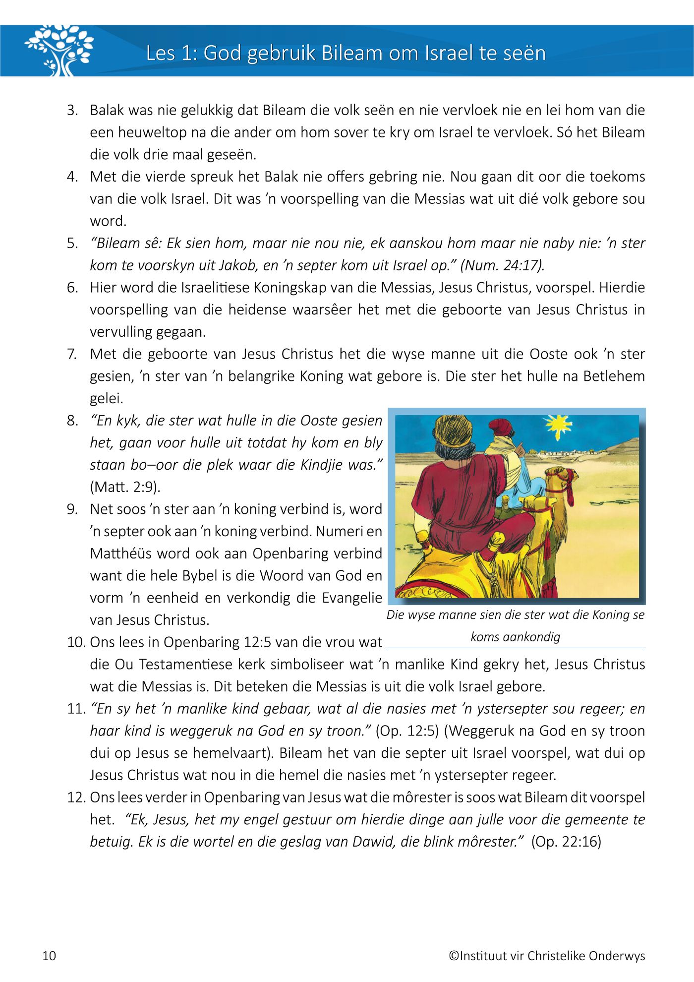 Boekenhout.Bybel Gr 6 (Waterstroom) Kleur