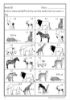 Picture of Mathematics Gr 3 Wb 3 (Lighthouse)
