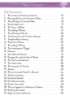 Picture of Bible Gr 1 (Lighthouse)