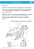 Picture of Afrikaans Gr 3 Werkboek 3 (Waterstroom) Kleur