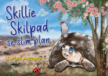 Picture of Skillie Skilpad se slim plan