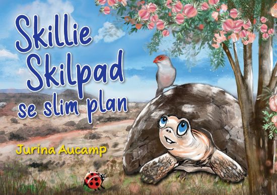 Picture of Skillie Skilpad se slim plan