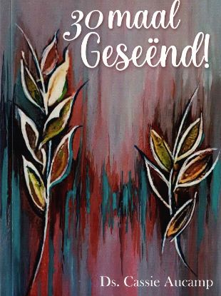 Picture of 30 Maal Geseënd!