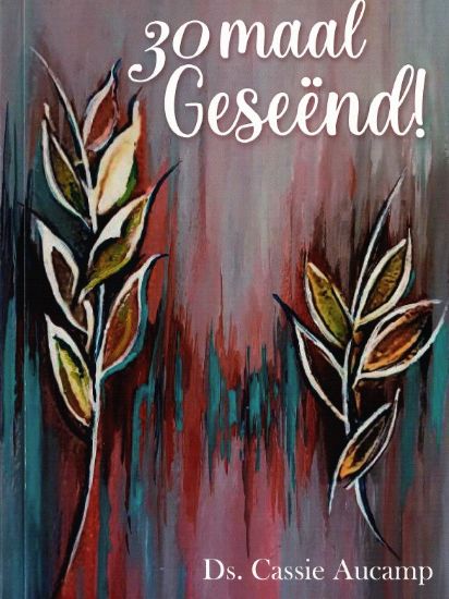 Picture of 30 Maal Geseënd!