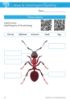 Picture of English Gr 3 Workbook 2 (Waterstroom) Kleur