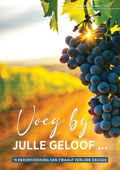 Picture of Voeg by julle geloof... 