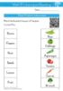 Picture of English Gr 3 Workbook 4 (Waterstroom) Kleur