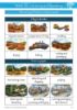 Picture of English Gr 3 Workbook 4 (Waterstroom) Kleur